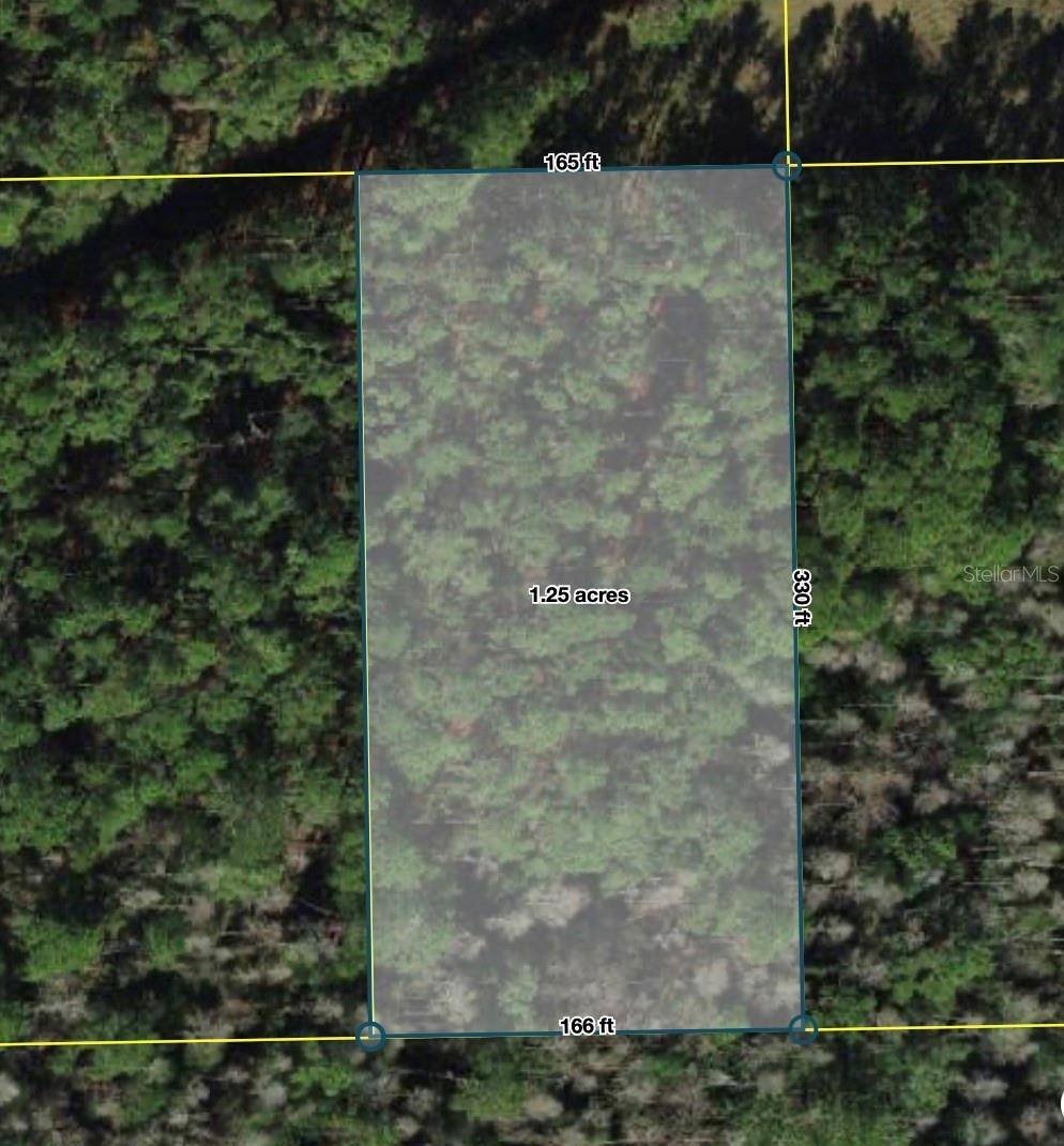 POLK CITY, Polk City, FL 33868