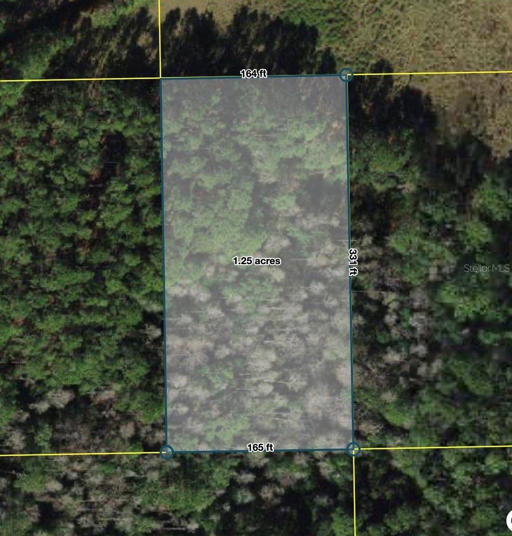 POLK CITY, Polk City, FL 33868