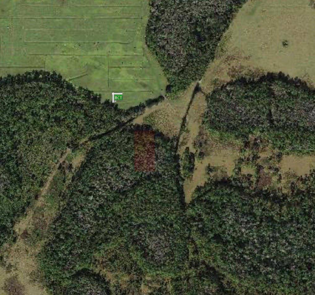 POLK CITY, Polk City, FL 33868