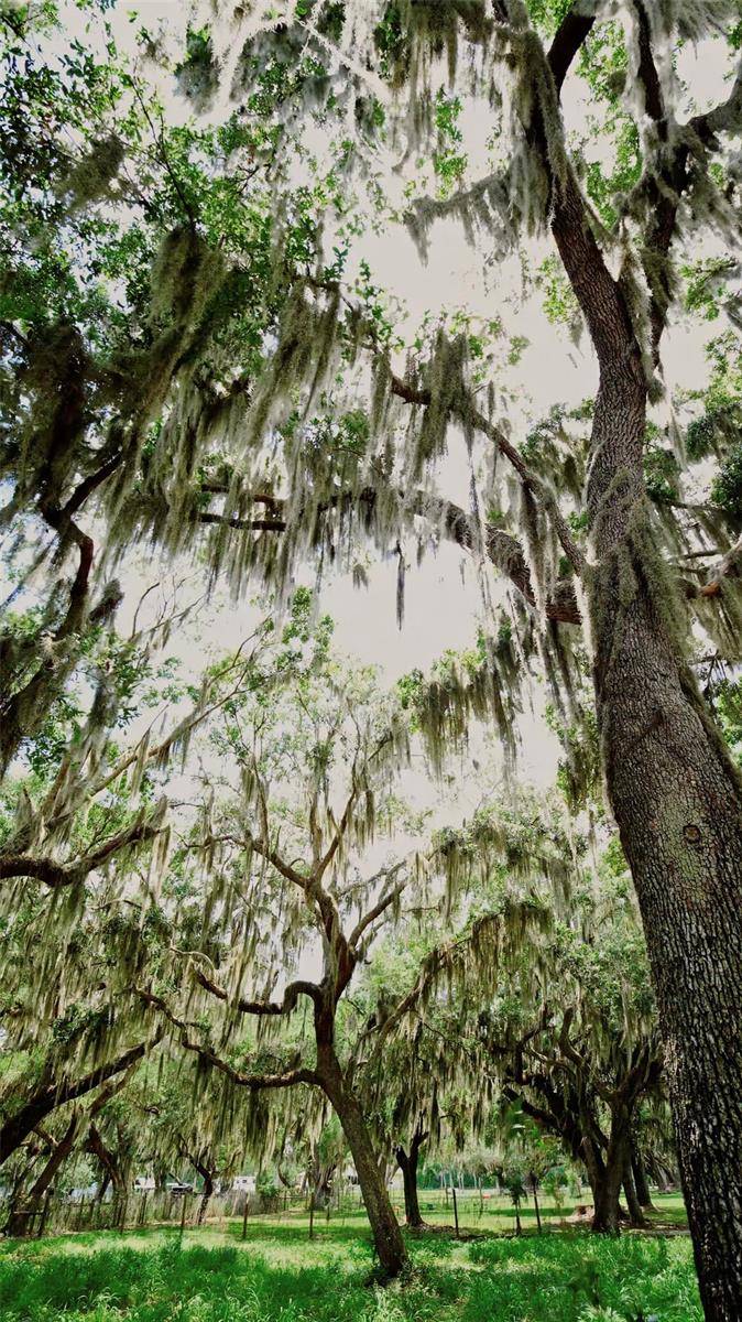 PARKWAY AVE, St Cloud, FL 34772