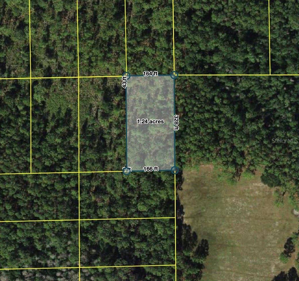 POLK CITY, Polk City, FL 33868