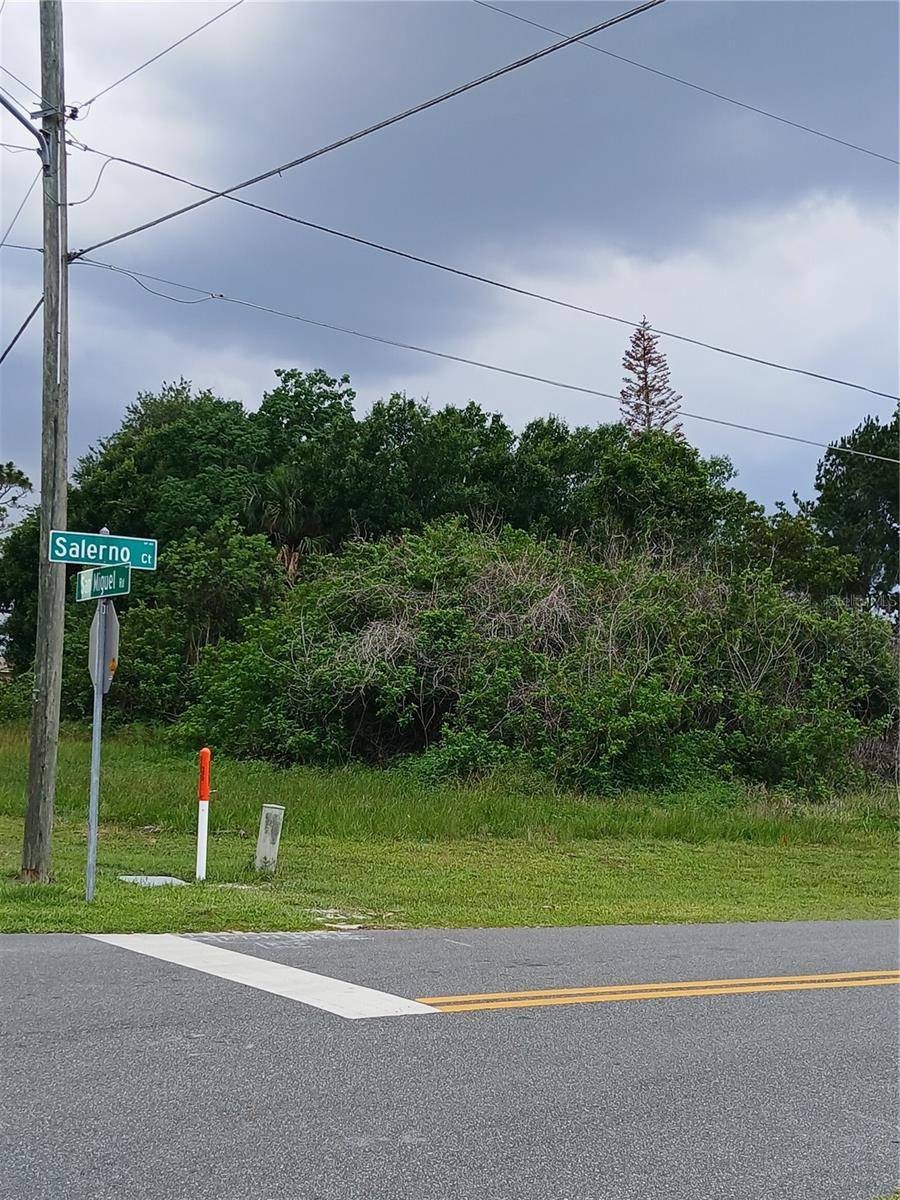 900 SALERNO CT, Kissimmee, FL 34758