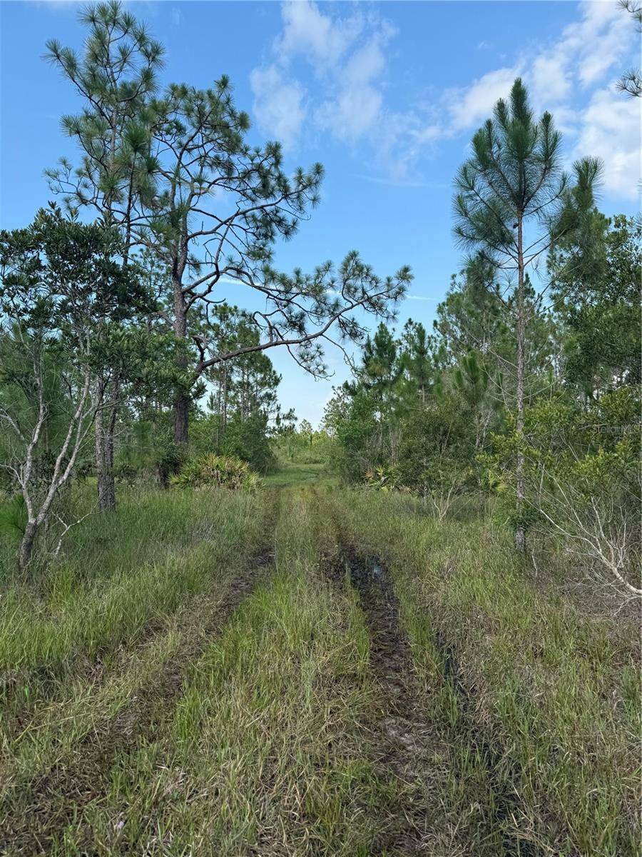 HOLOPAW GROVES RD #Lot 125 & 126, St Cloud, FL 34773