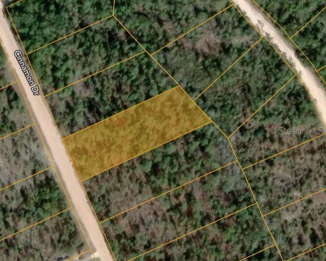 CINNAMON DR, Marianna, FL 32448