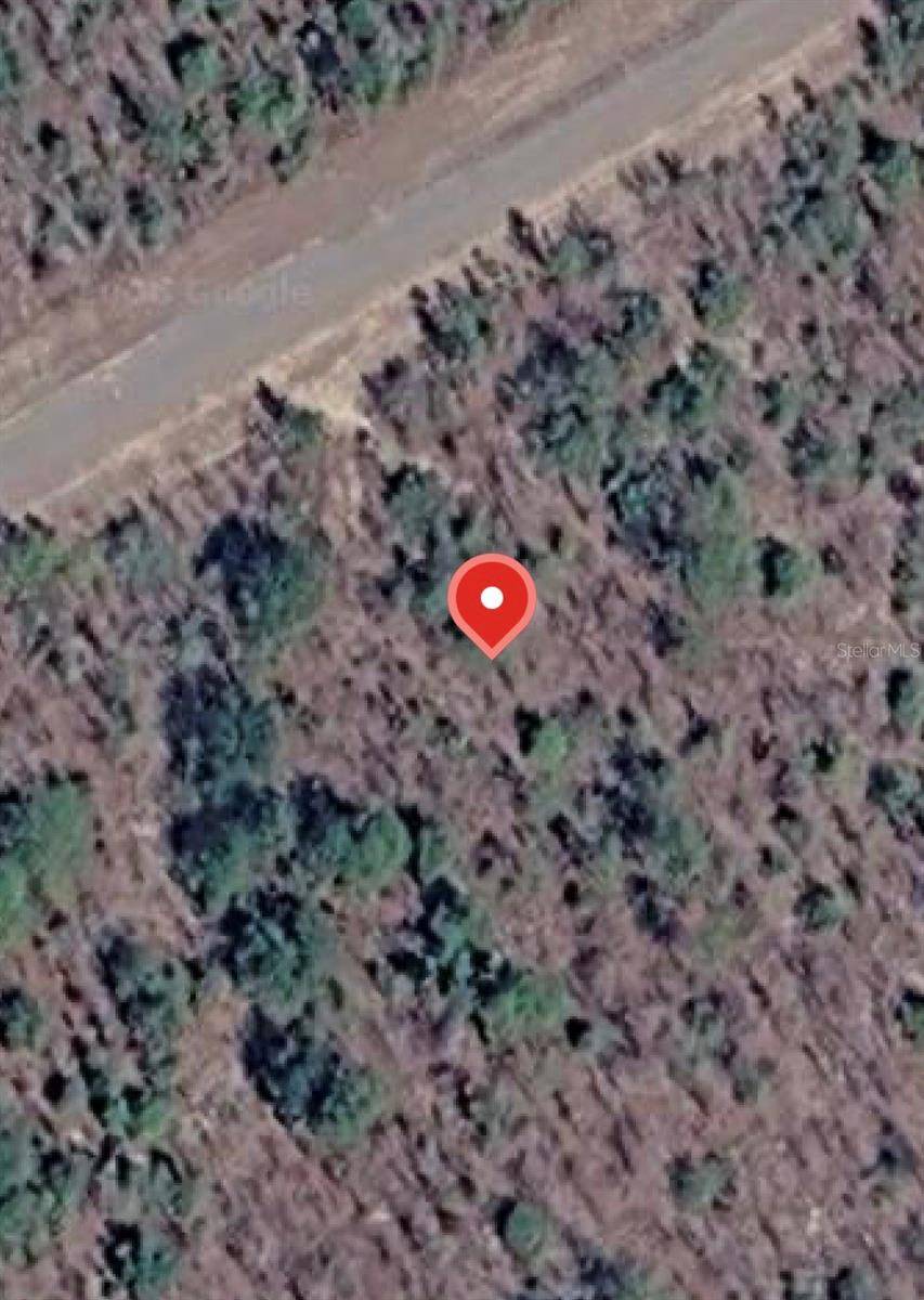 ALBION DR #35, Chipley, FL 32428