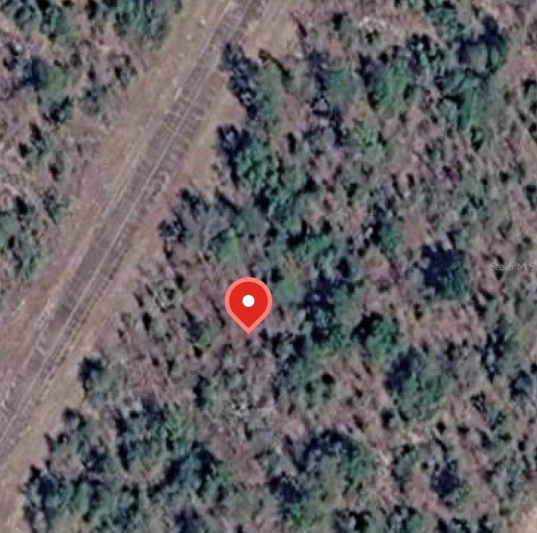 LYNNHAVEN LN, Chipley, FL 32428