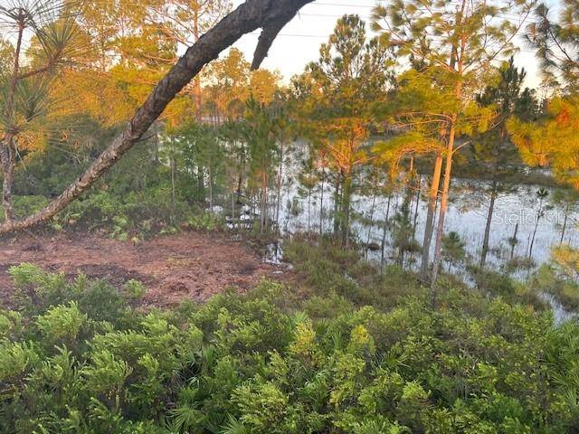 43820 REDLANDS DR, Deland, FL 32720