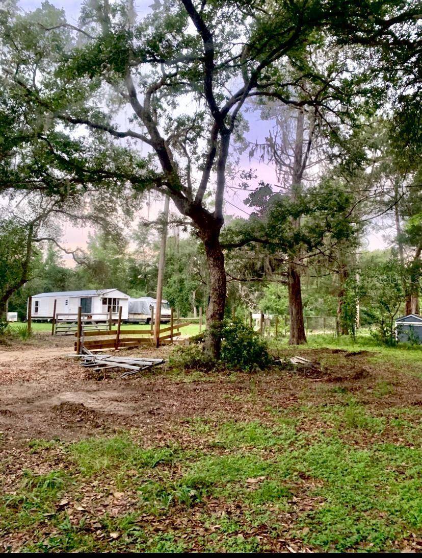 17273 NE 37TH ST, Silver Springs, FL 34488
