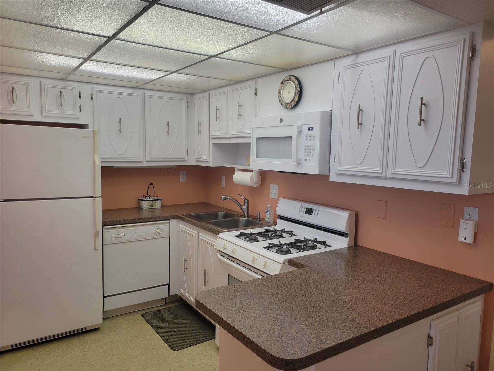 9950 62ND TER N #417, St Petersburg, FL 33708