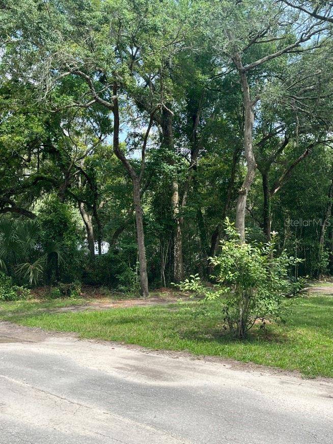 11012 NW 113TH PL, Chiefland, FL 32626