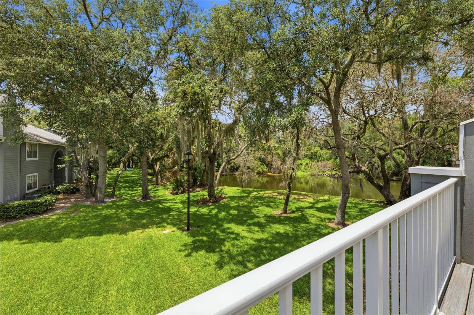 11844 SKYLAKE PL, Tampa, FL 33617