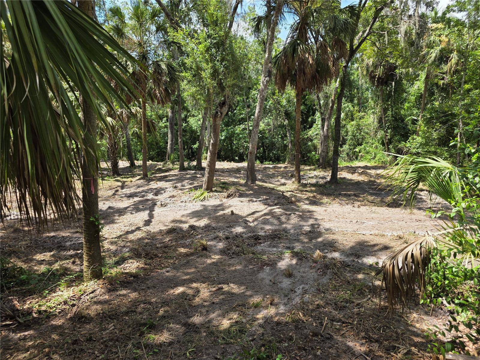 4876 RAMBLING RIVER RD, Brandon, FL 33511