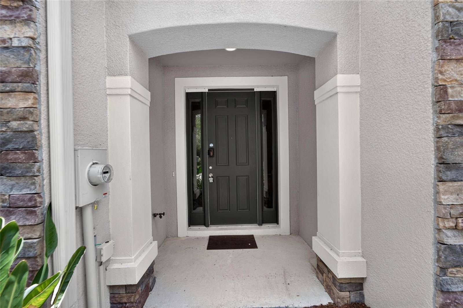 10411 RED CARPET CT, Riverview, FL 33578