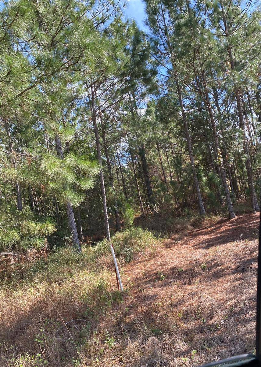 Address not disclosed, Polk City, FL 33868