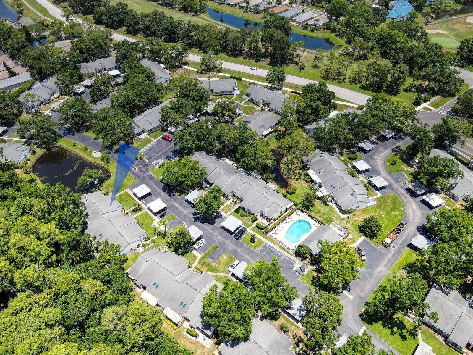 3454 KILLDEER PL, Palm Harbor, FL 34685