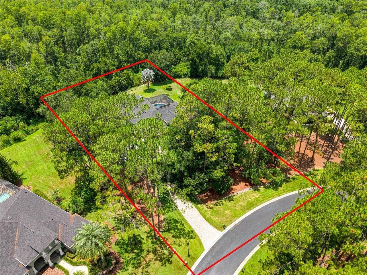 418 PINE BLUFF DR, Lutz, FL 33549