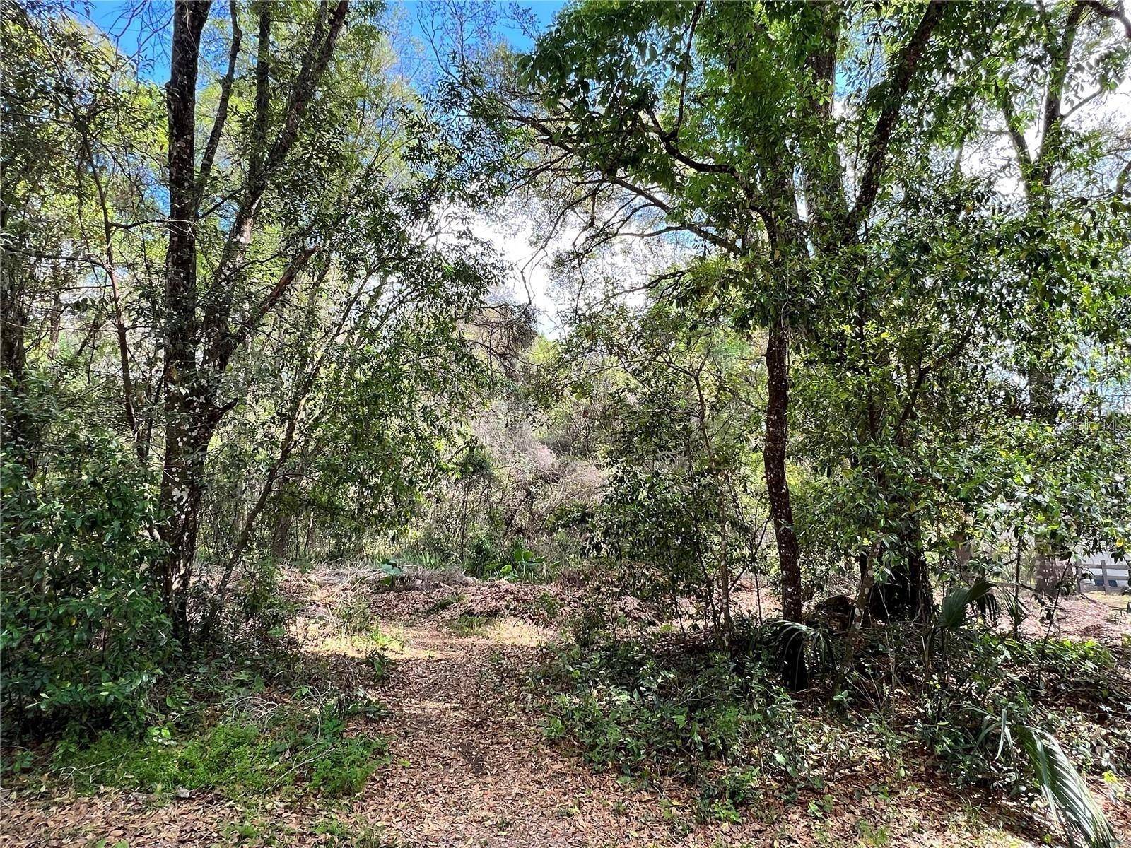 0 GARFIELD AVE, Brooksville, FL 34604