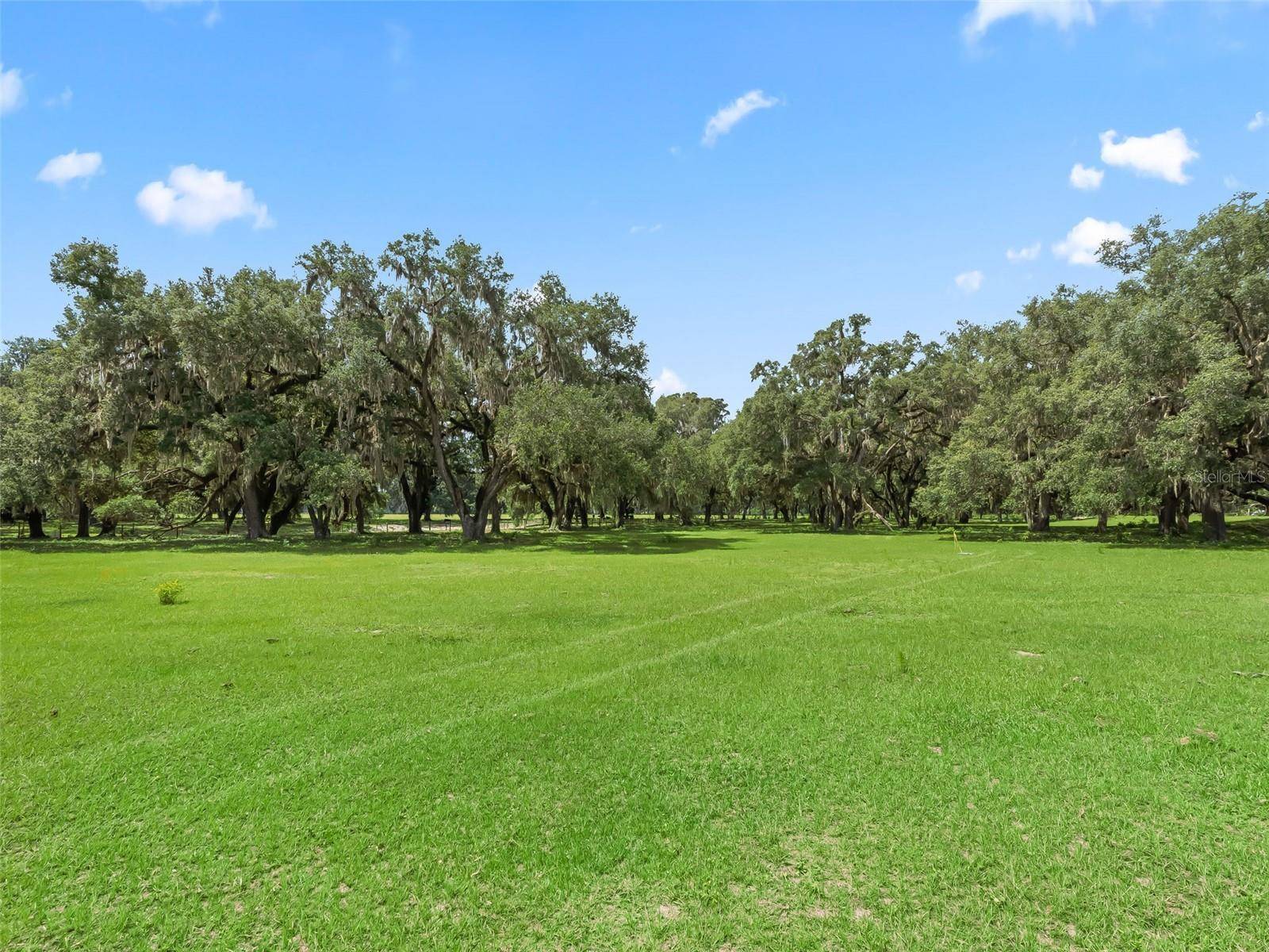 Lot 11 CR 543, Bushnell, FL 33513