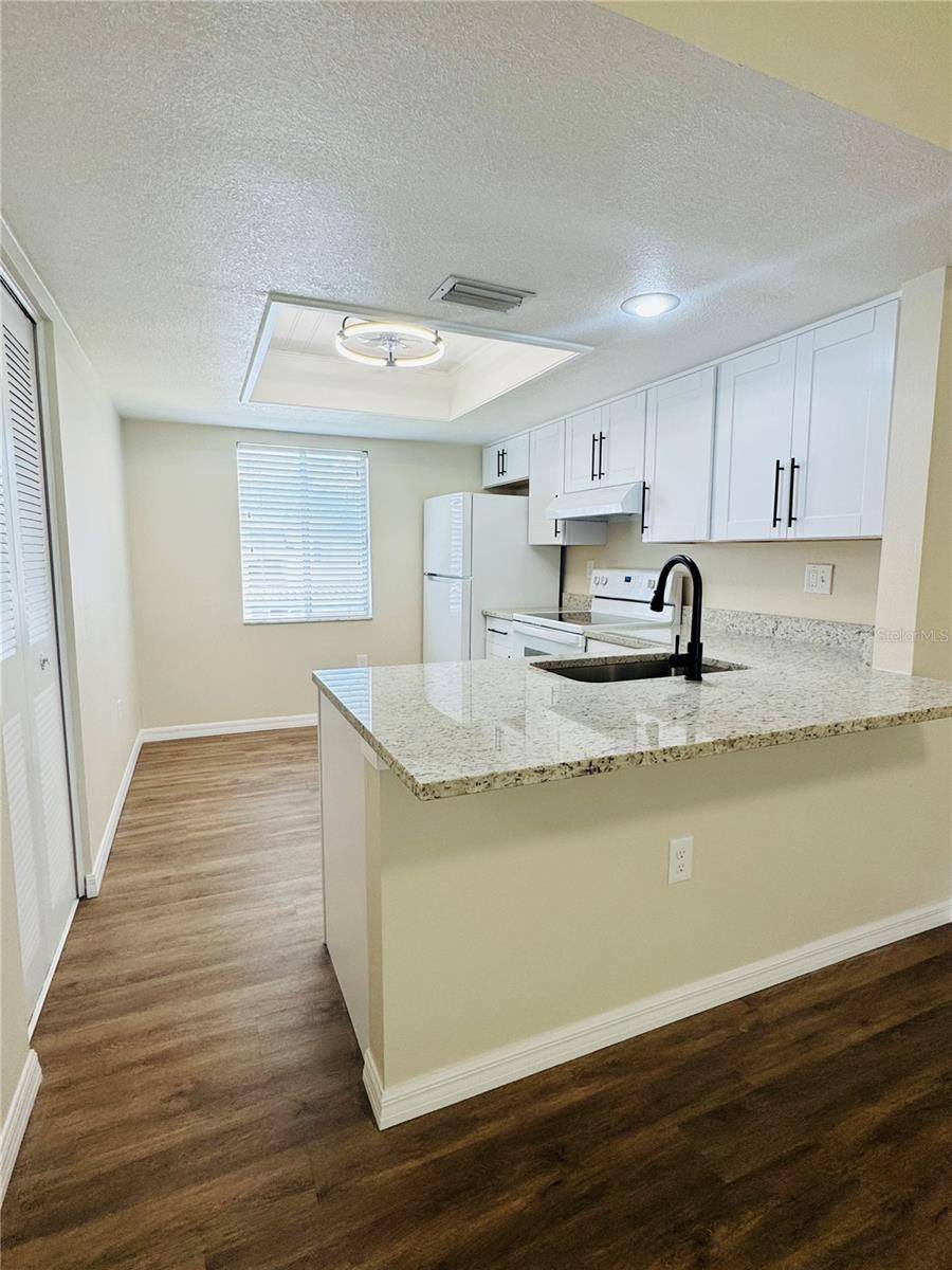 134 CYPRESS CT, Oldsmar, FL 34677