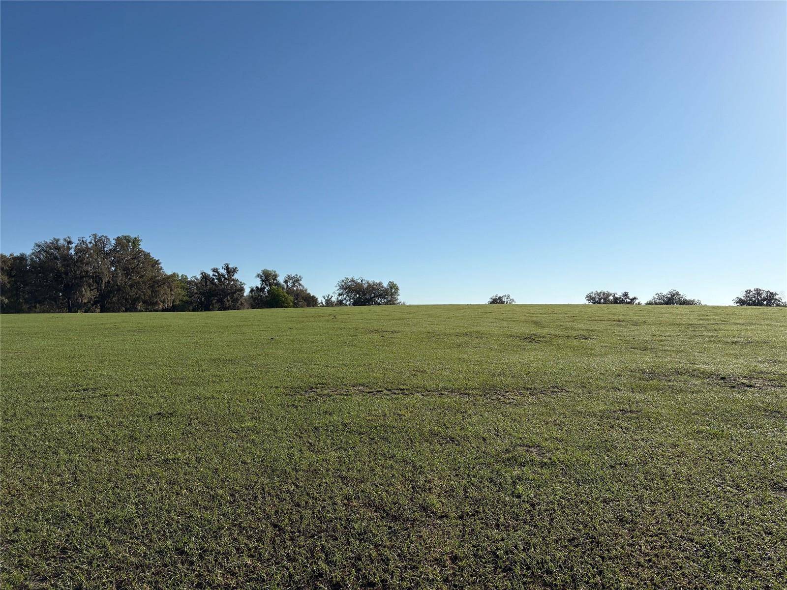 0 Citrus WAY (NE CORNER OF CITRUS WAY AND PARSONS RD), Brooksville, FL 34601