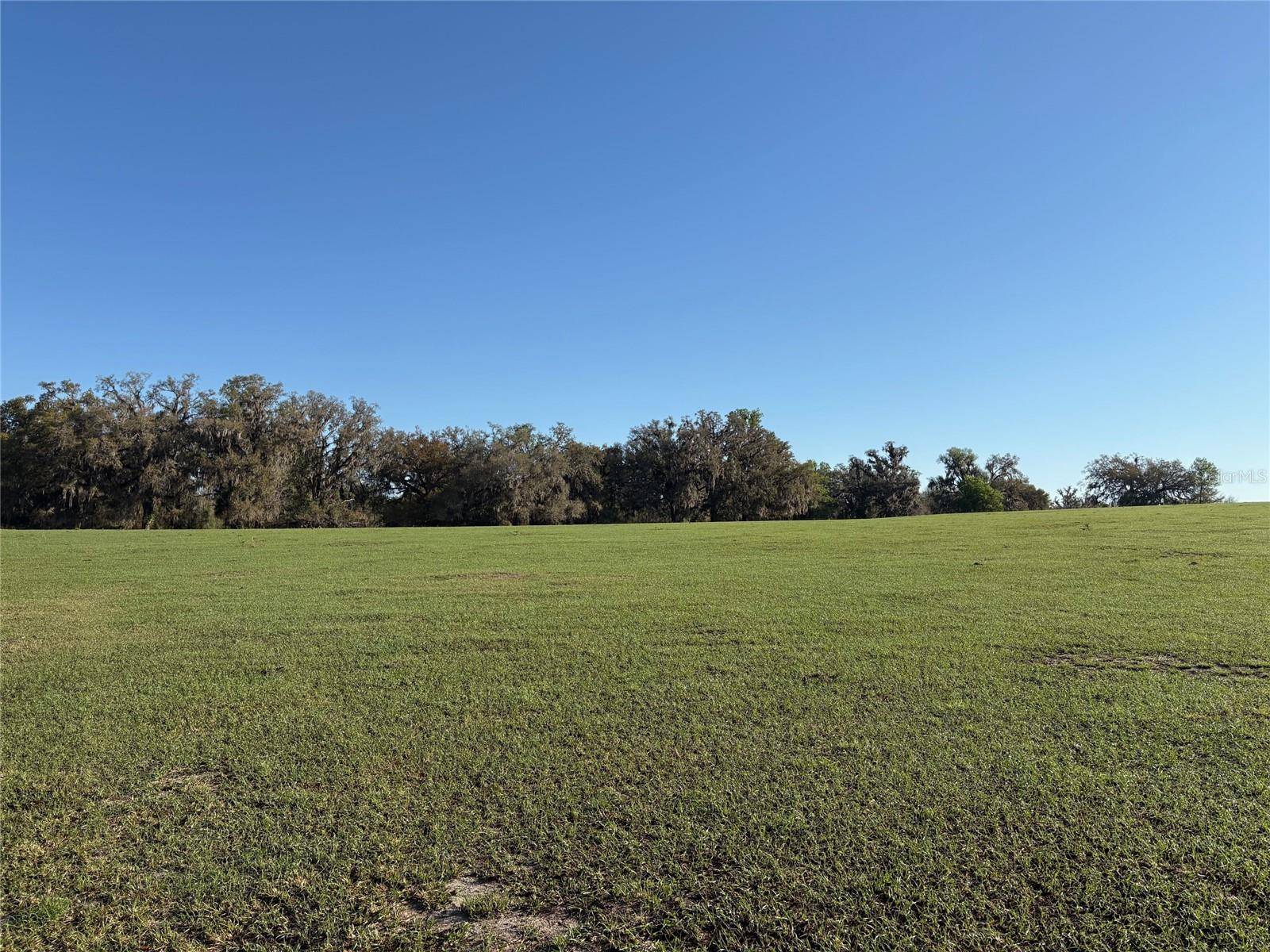 0 Citrus WAY (NE CORNER OF CITRUS WAY AND PARSONS RD), Brooksville, FL 34601