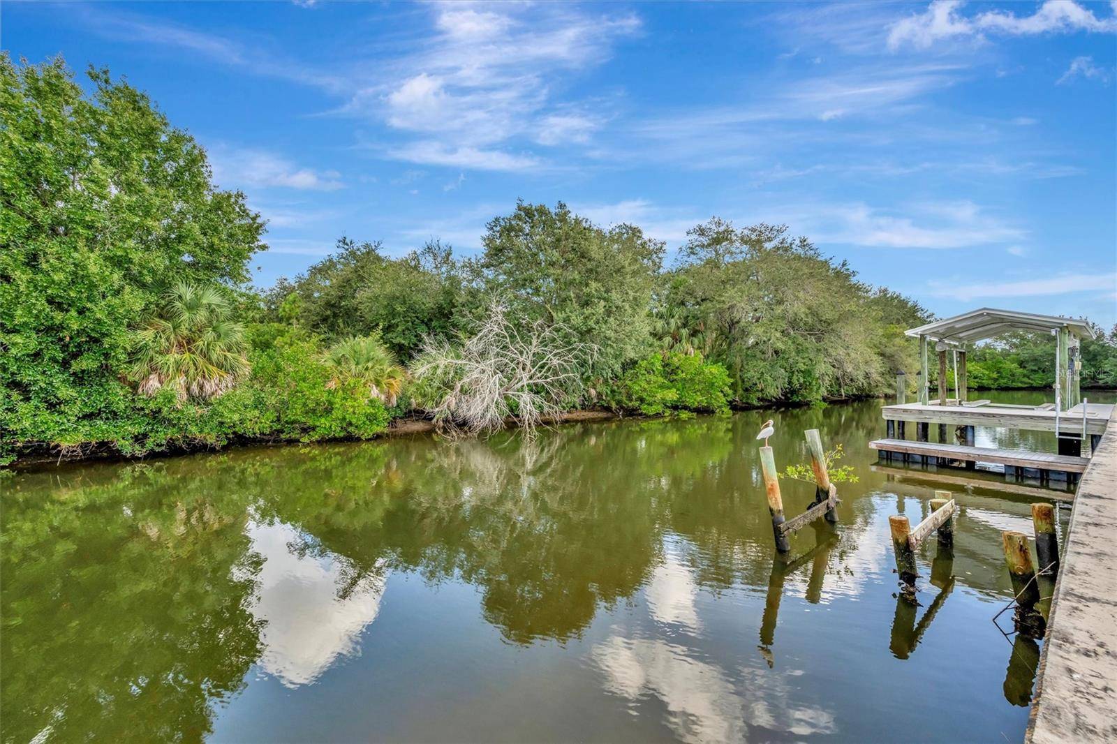 236 N SAINT THOMAS CIR, Apollo Beach, FL 33572