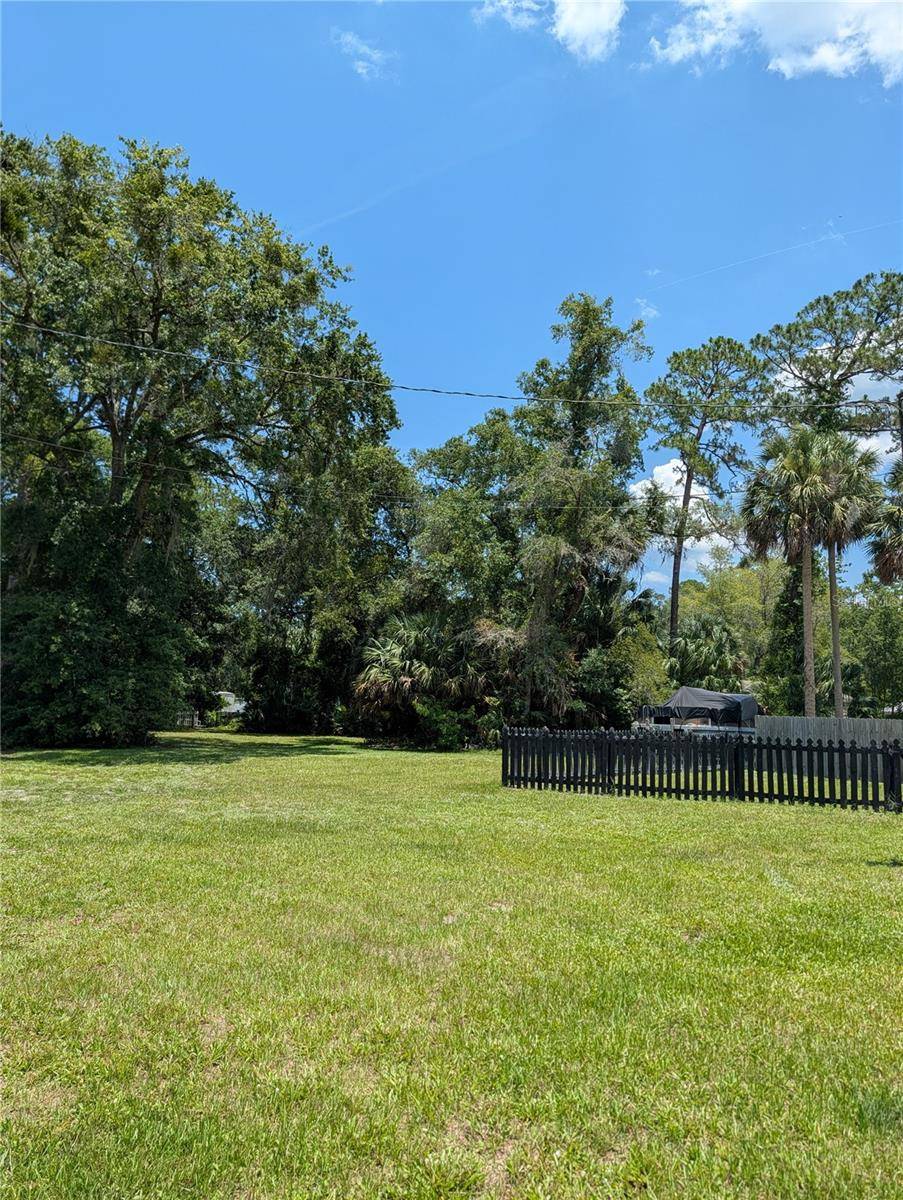 55914 BAY RD, Astor, FL 32102