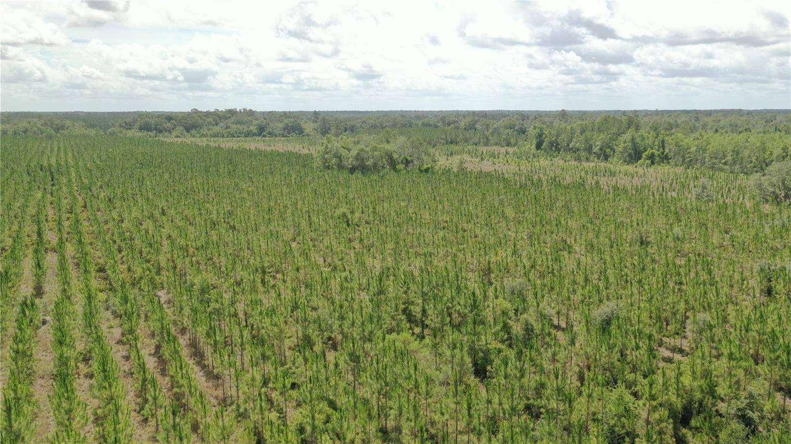 US HWY 441 N, Lake City, FL 32055