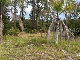 823 PANDORA (BLK 217 LOT 13) DR, Indian Lake Estates, FL 33855