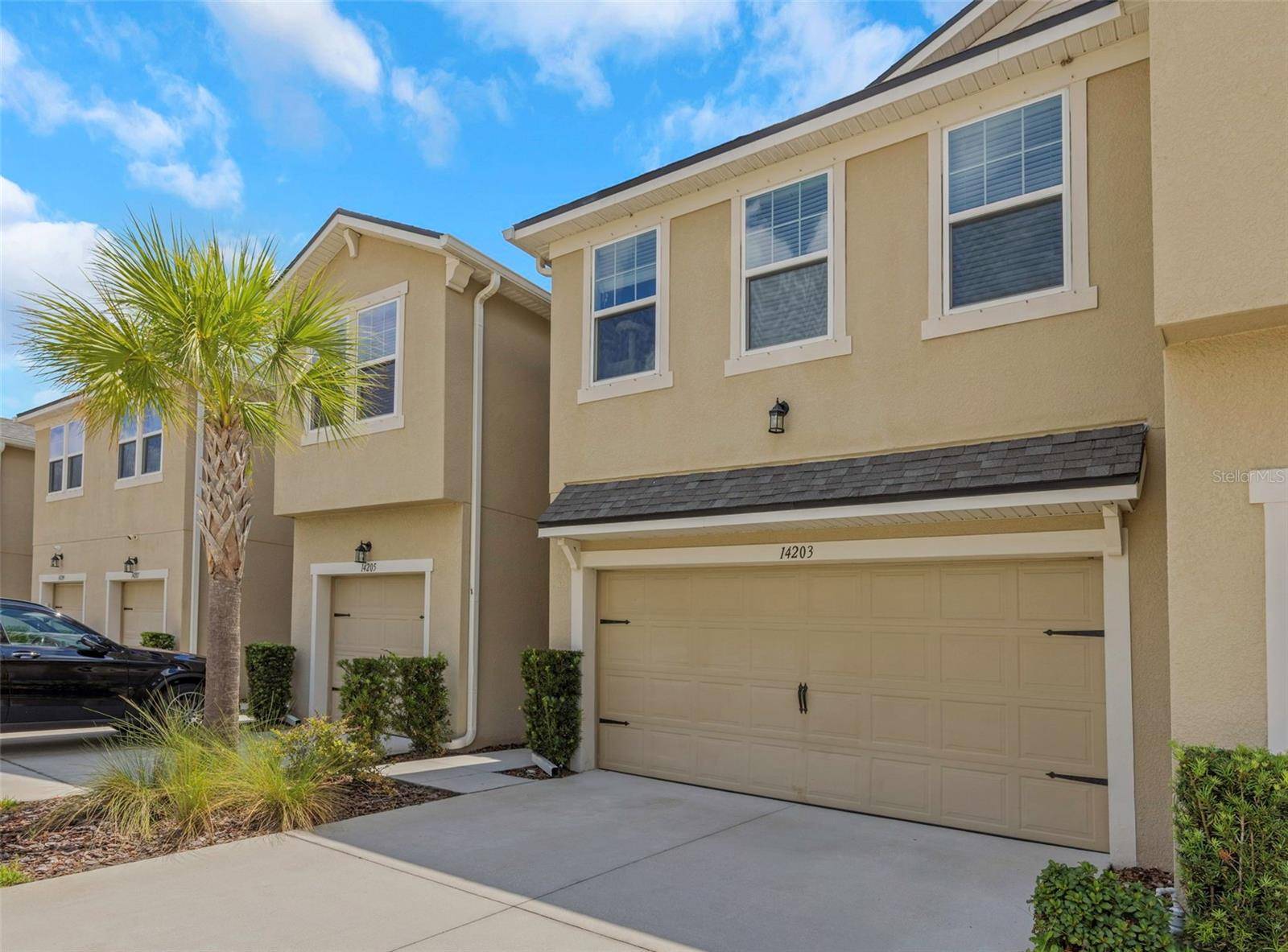 14203 DAMSELFLY DR, Tampa, FL 33625