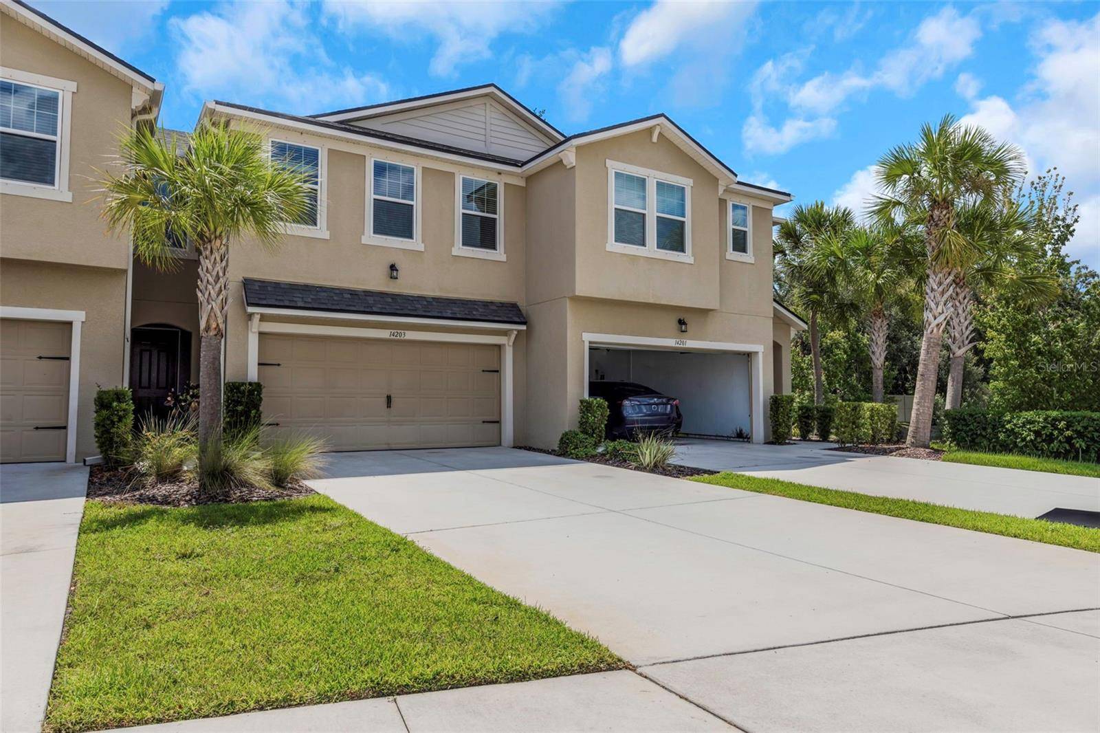14203 DAMSELFLY DR, Tampa, FL 33625