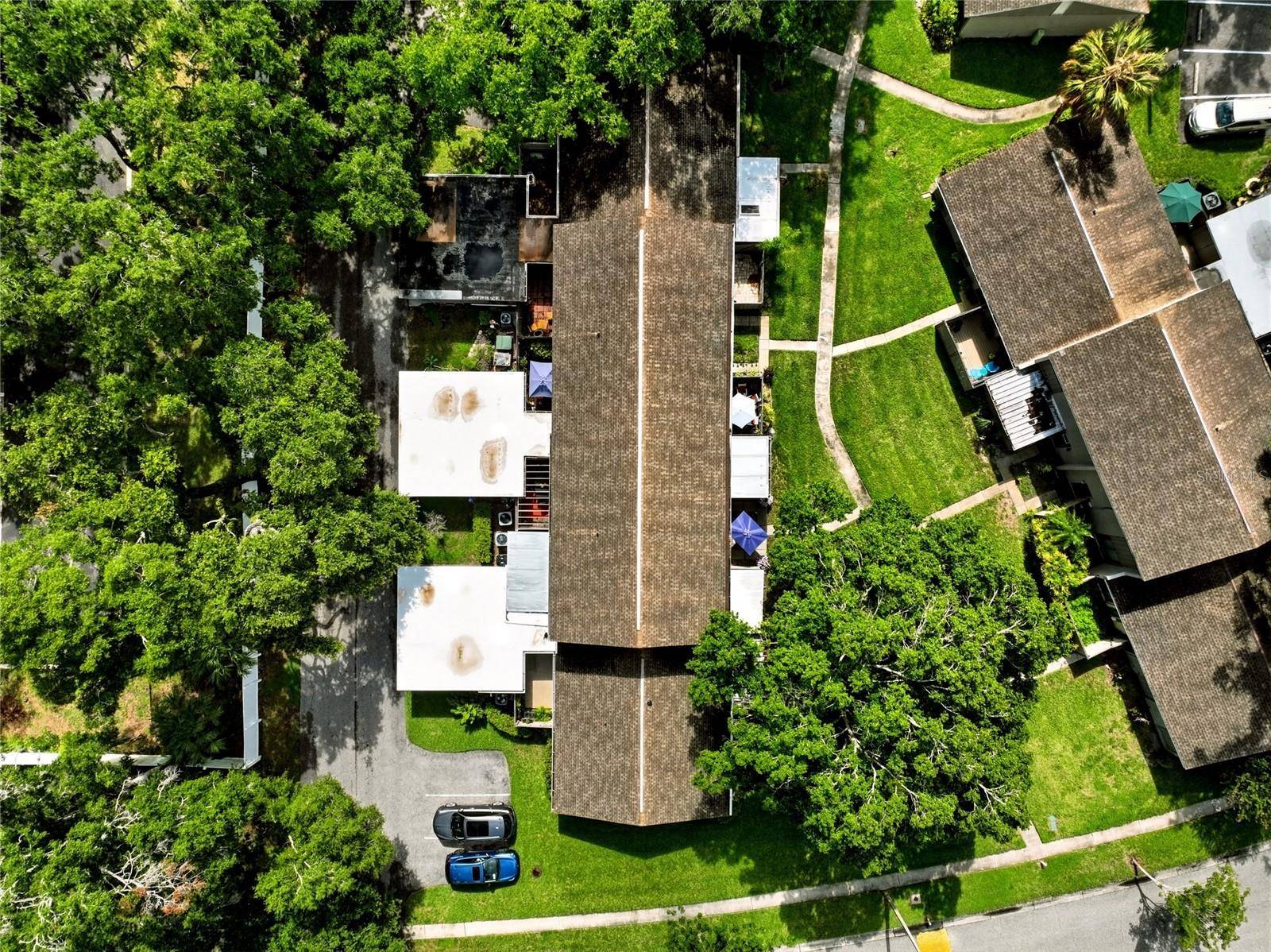 8003 JASMINE DR #8003, Tampa, FL 33637