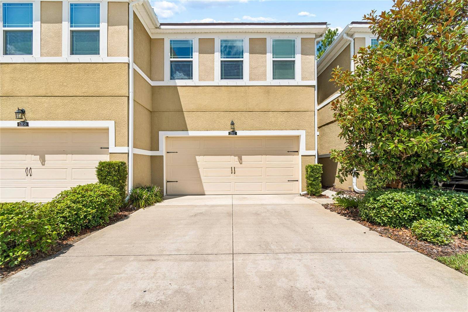 17852 ALTHEA BLUE PL, Lutz, FL 33558