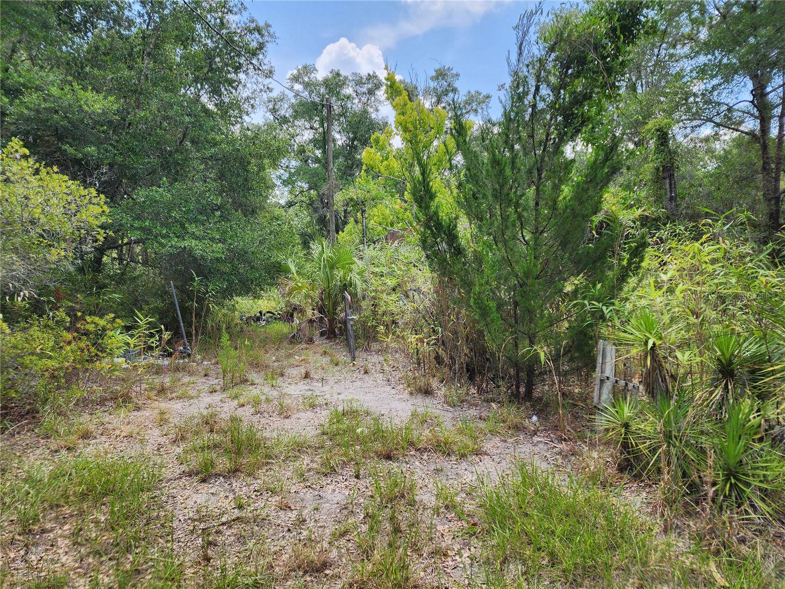 11335 N GINNY LANE PT, Inglis, FL 34449