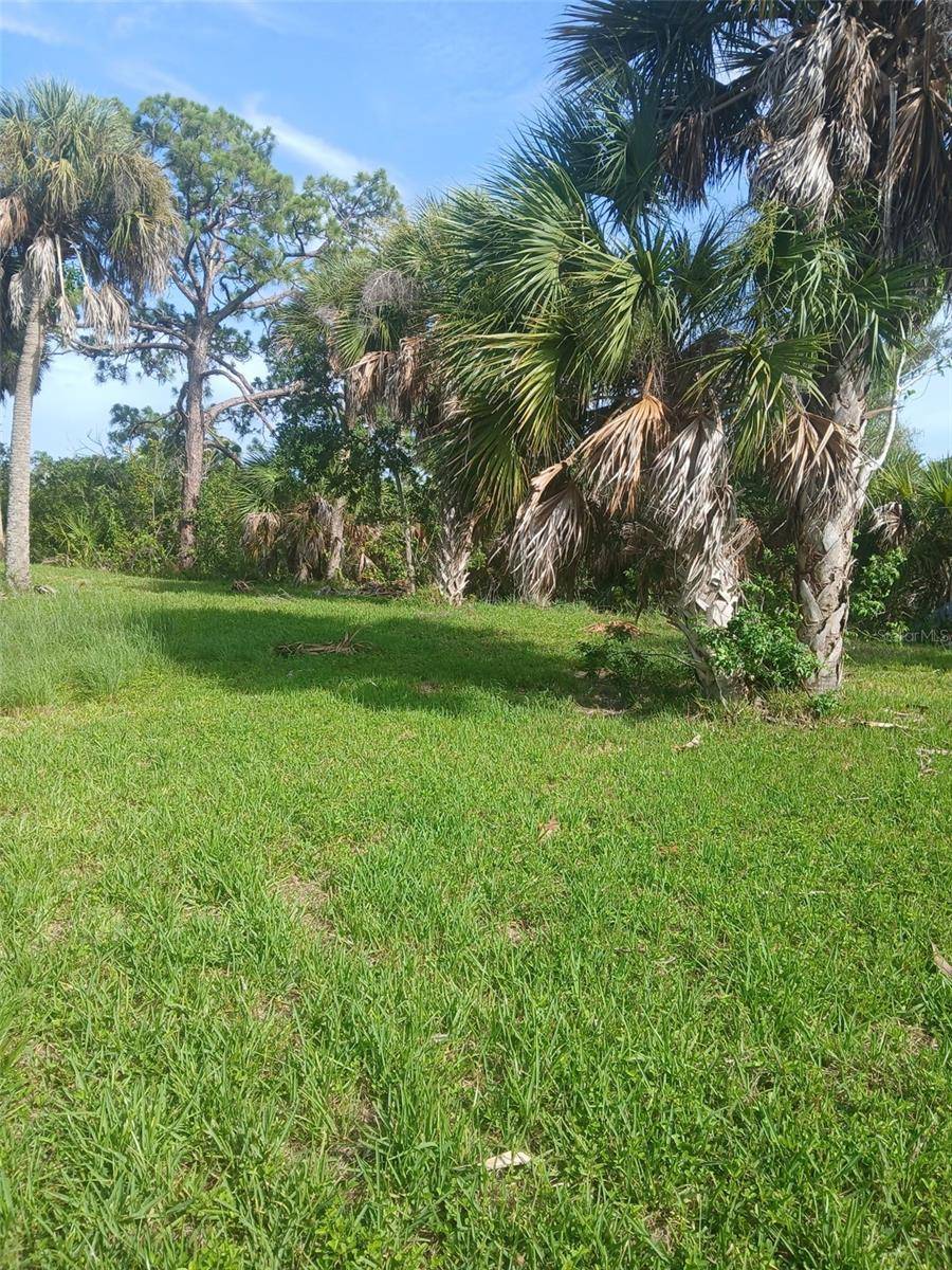 HILOLO LN, Venice, FL 34293