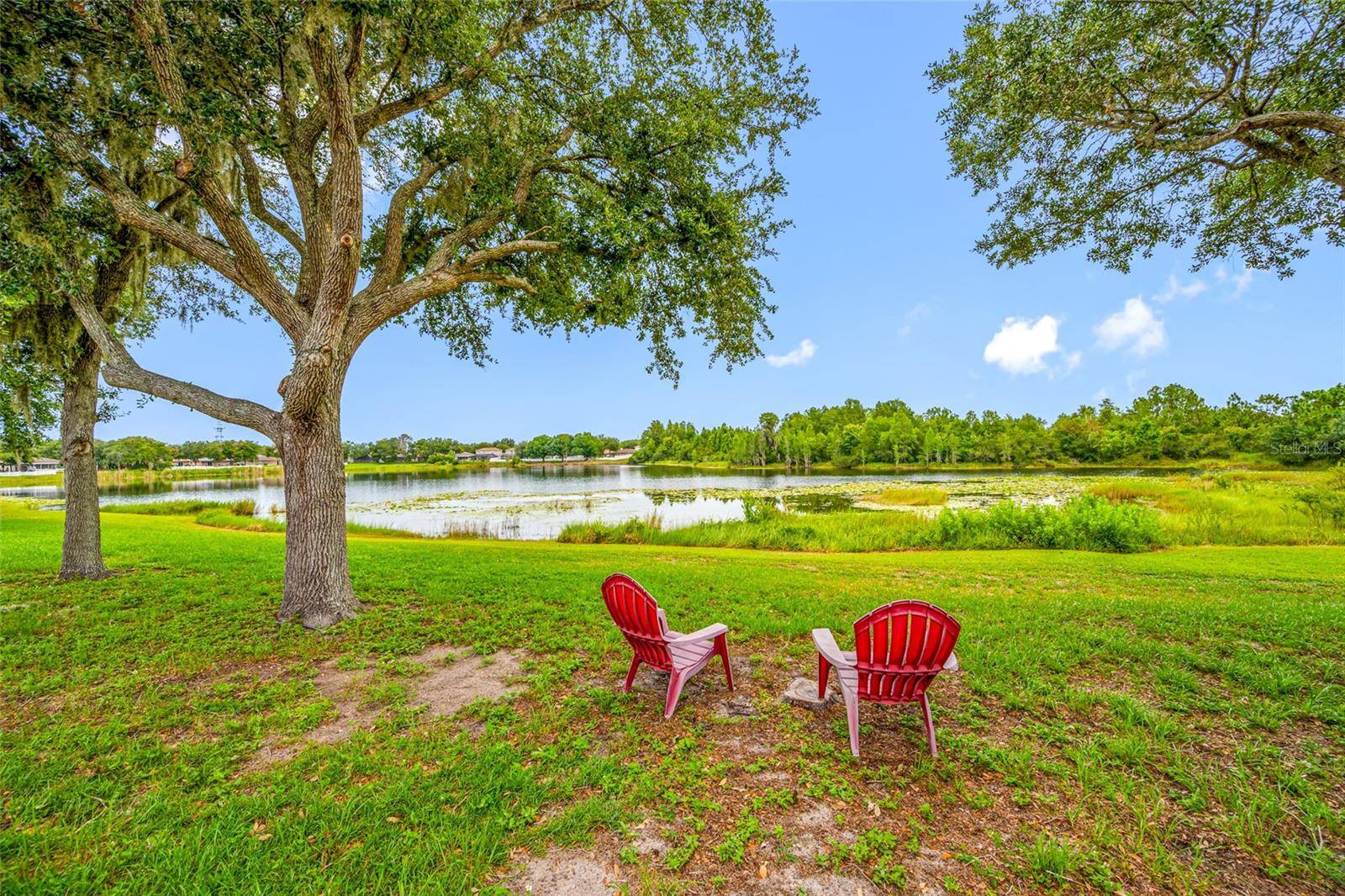 13953 JACOBSON DR, Odessa, FL 33556