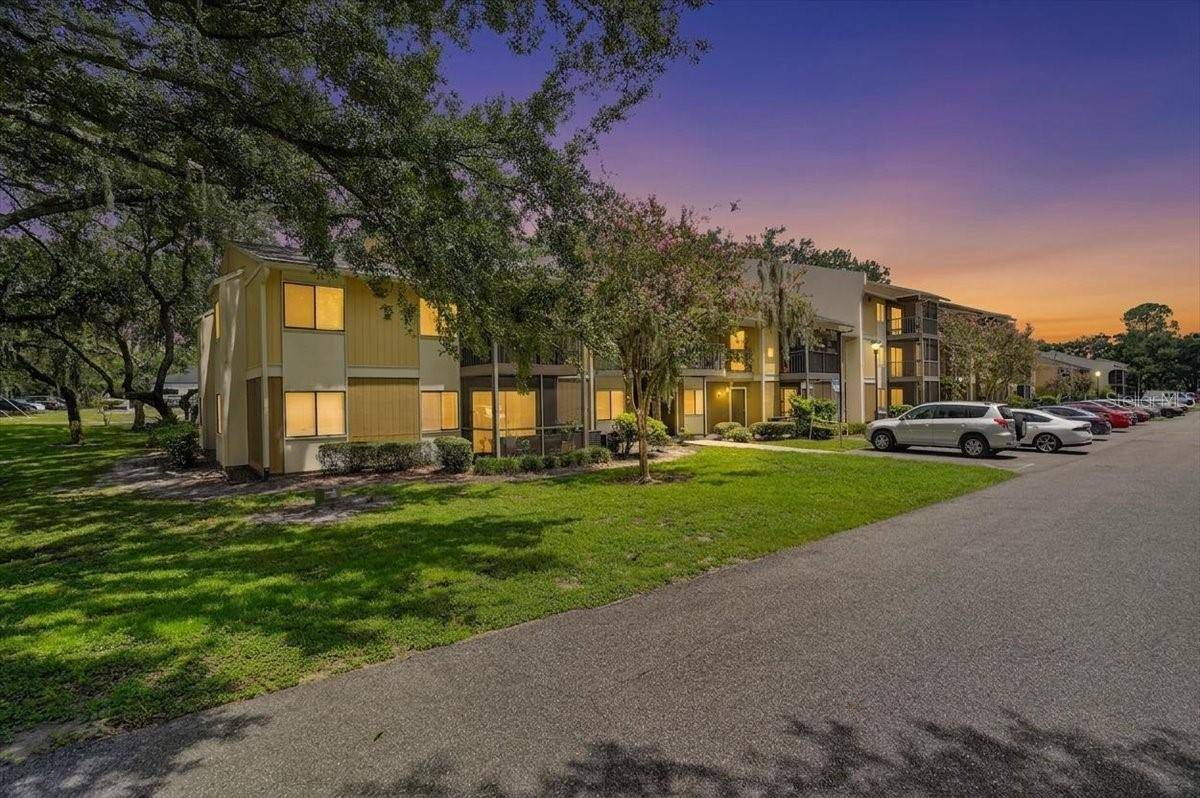 13405 ARBOR POINTE CIR #104, Tampa, FL 33617