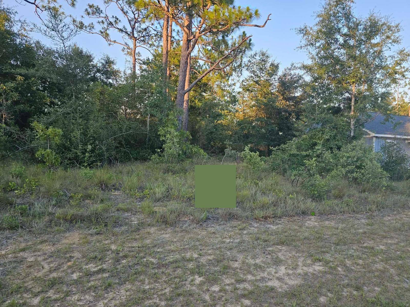 Lot 12 SHENANDOAH BLVD, Chipley, FL 32428