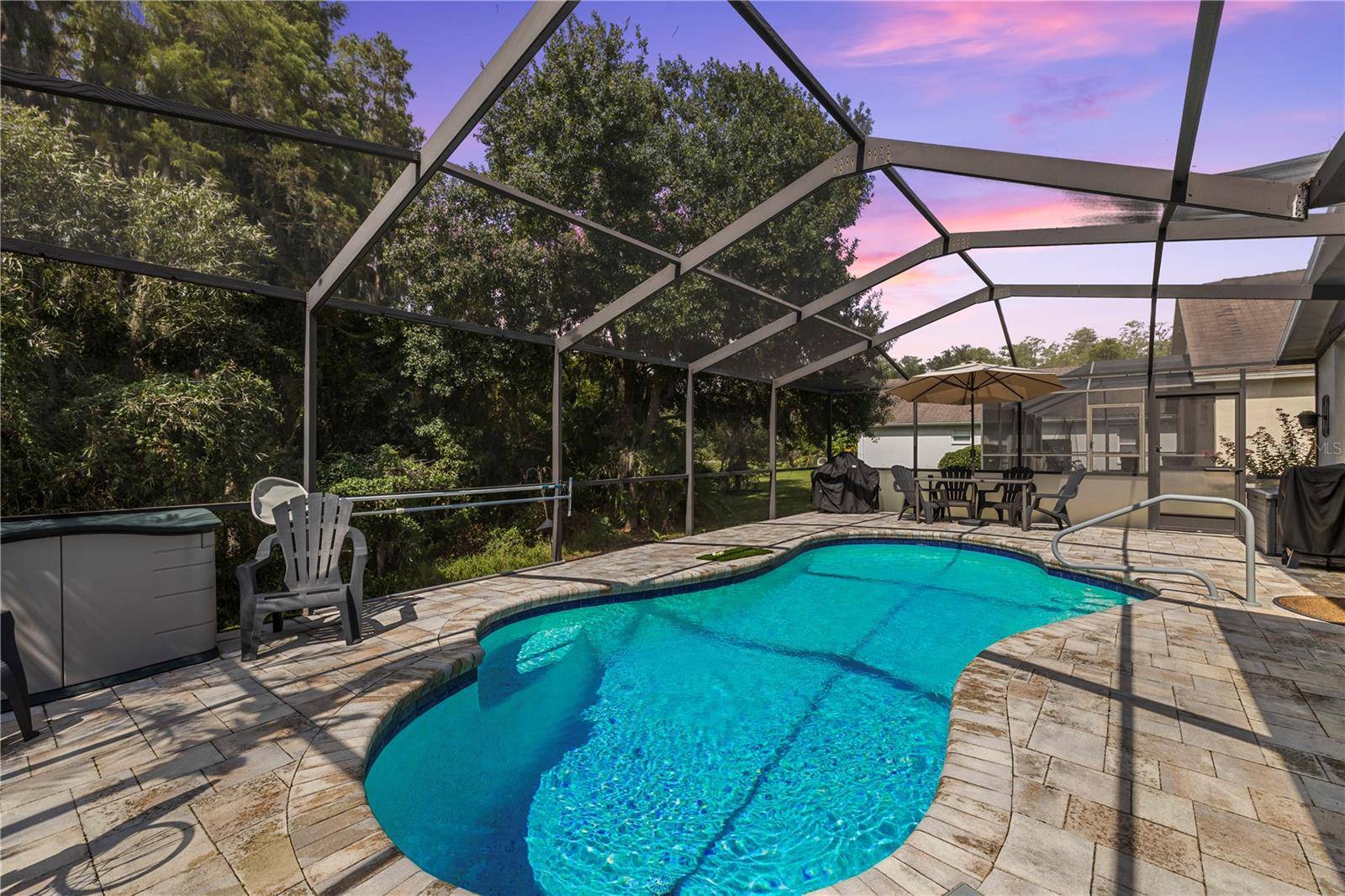 30923 IVERSON DR, Wesley Chapel, FL 33543