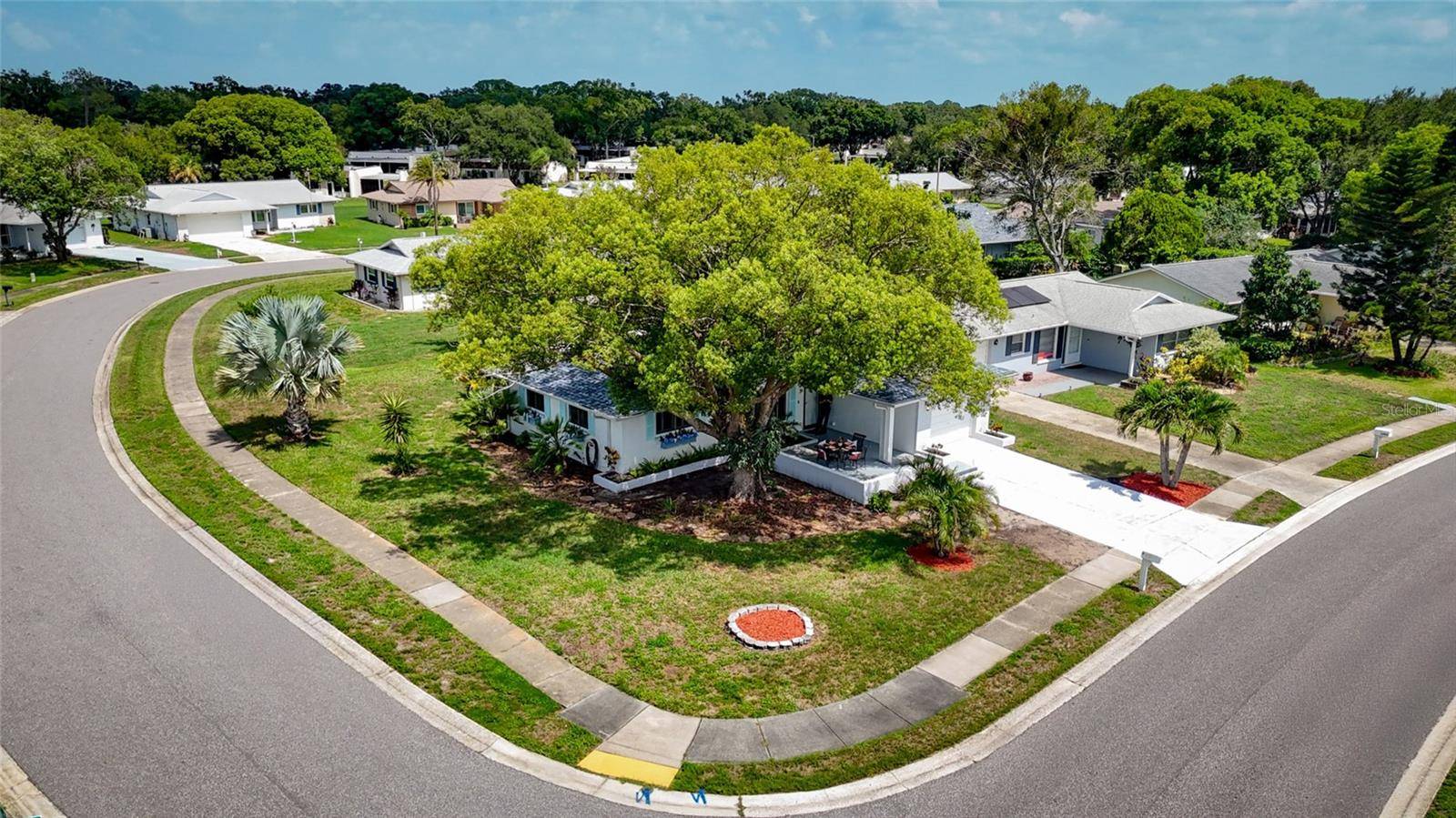 1496 QUEEN ANNE DR, Palm Harbor, FL 34684