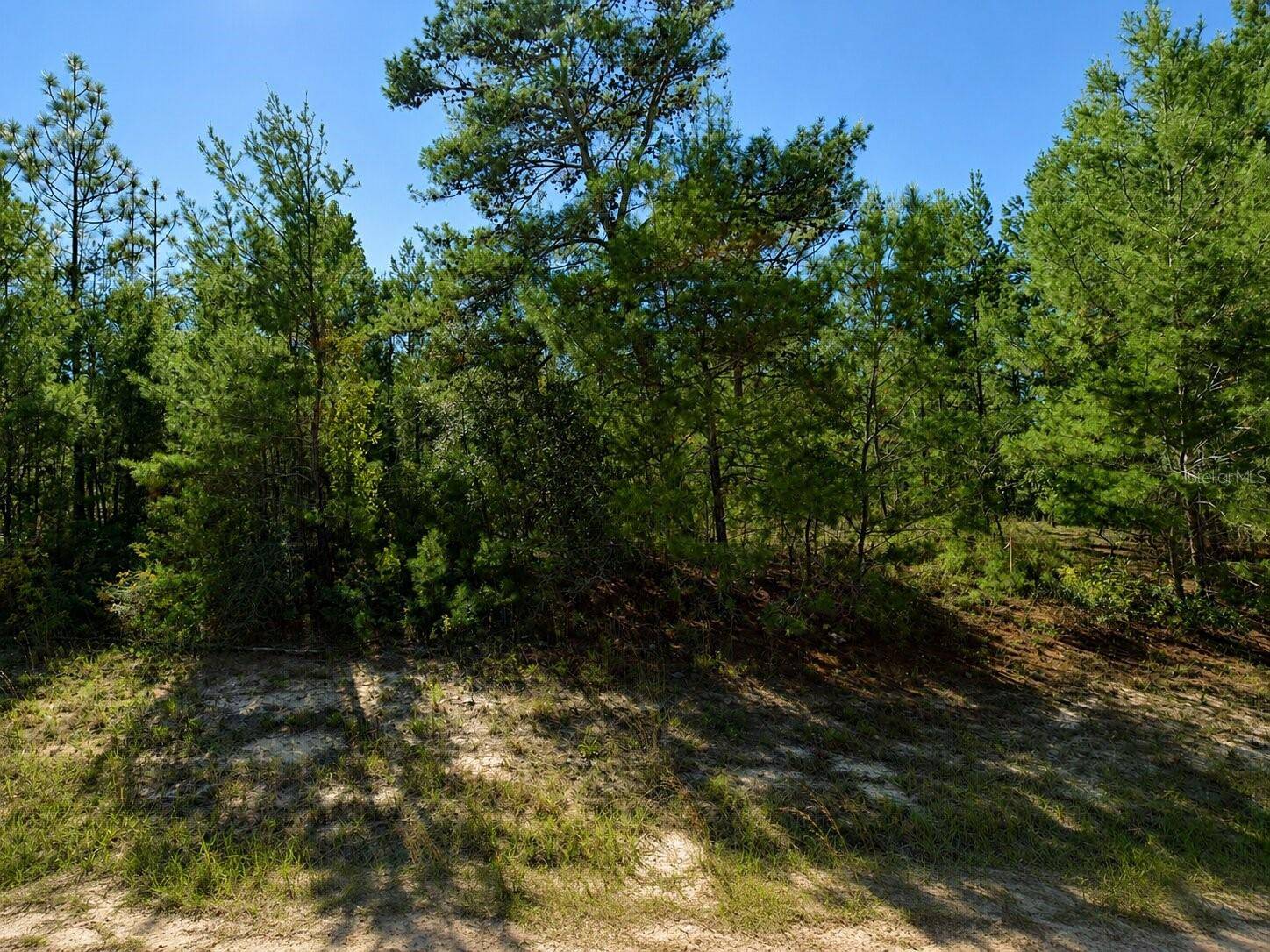 ALLADIN DR, Chipley, FL 32428
