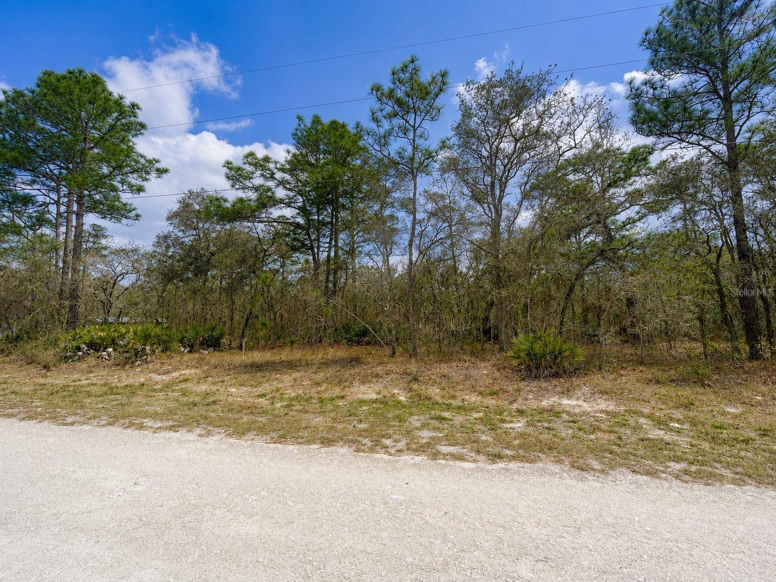 0 MYLAND RD, Brooksville, FL 34614