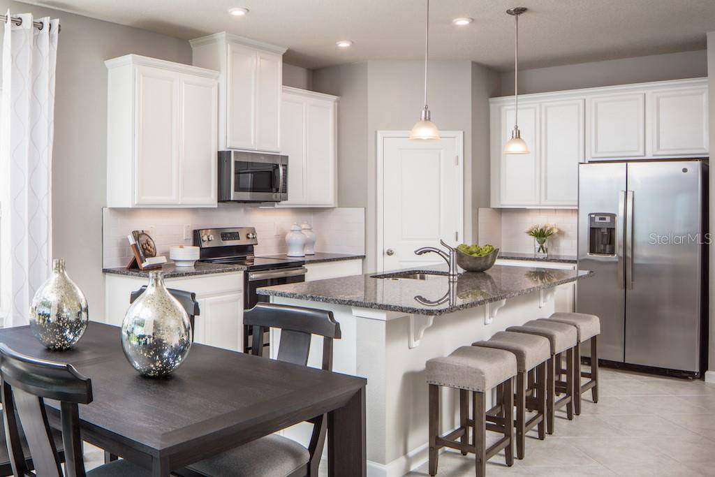1079 OCEAN LODGE RD, Lady Lake, FL 32159