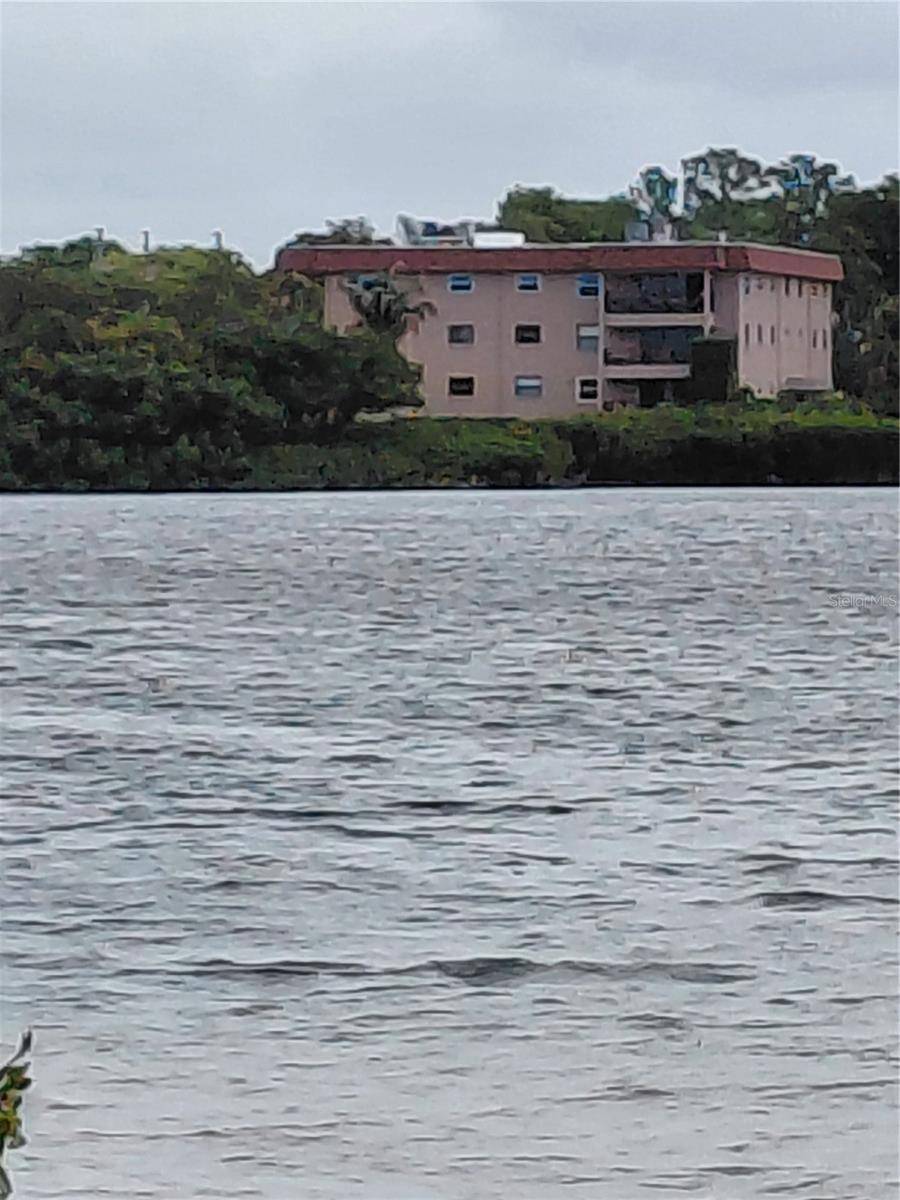 Address not disclosed, Tarpon Springs, FL 34689