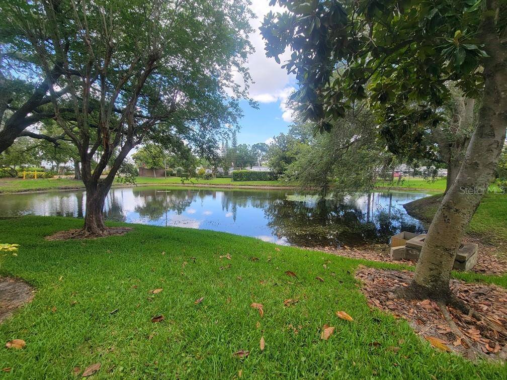 10024 STRAFFORD OAK CT #813, Tampa, FL 33624