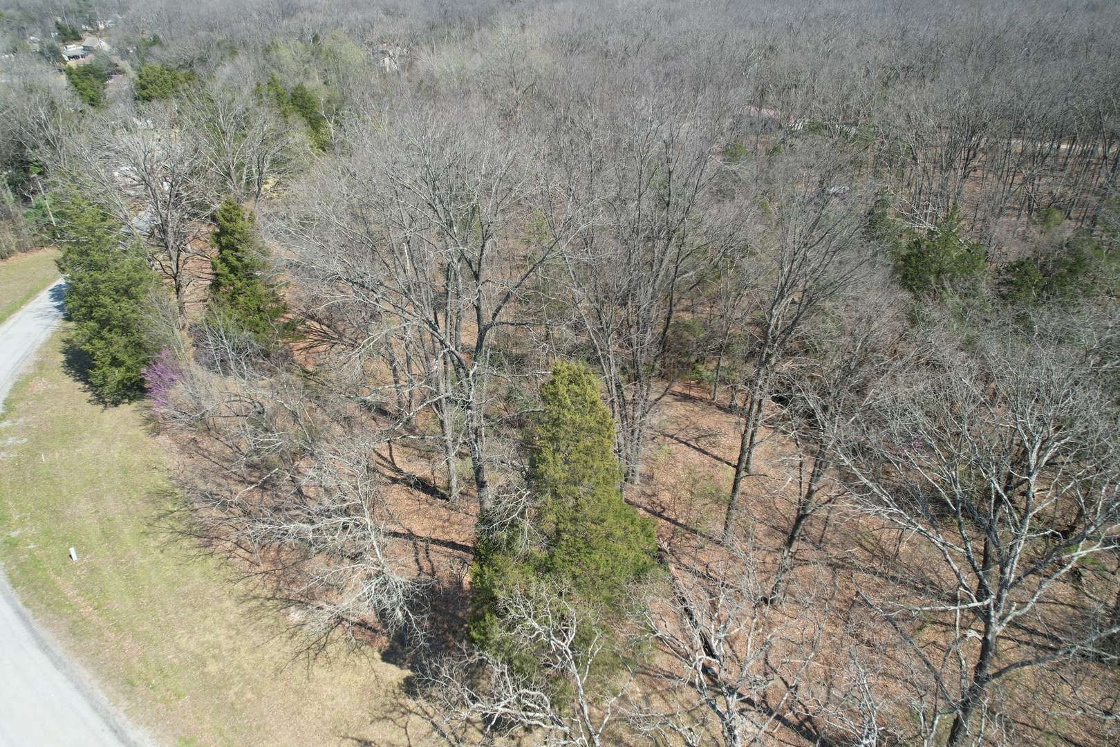 TBD Clifty Heights RD, Marion, IL 62959