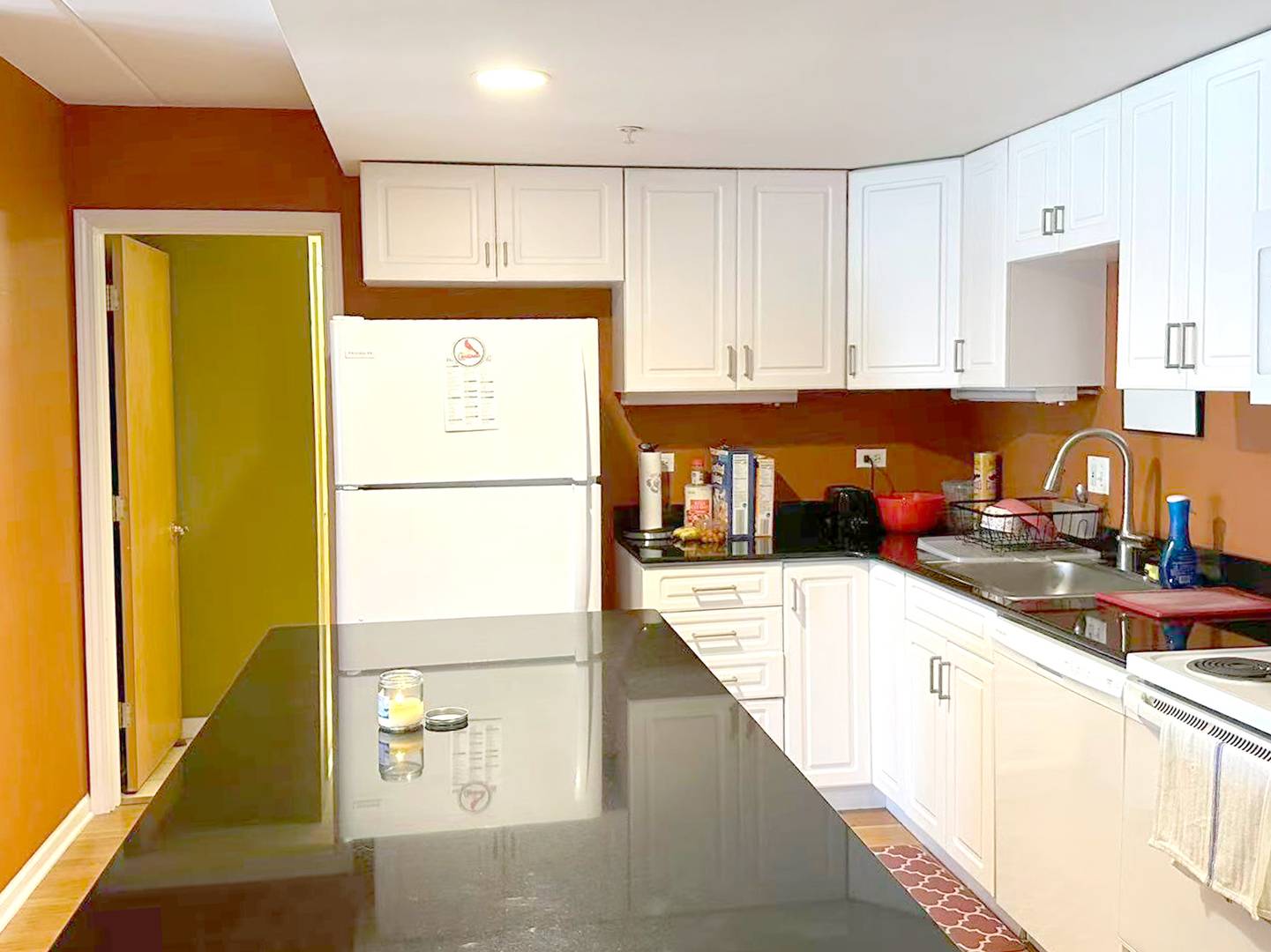 1041 Susan Collins LN #501, Oak Park, IL 60302