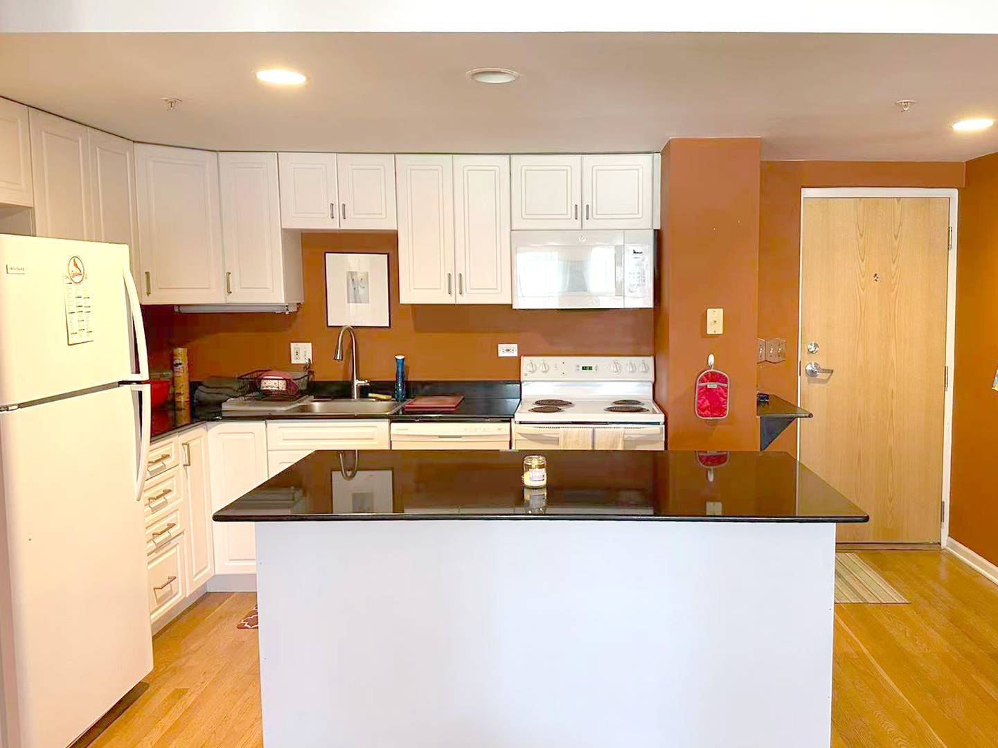 1041 Susan Collins LN #501, Oak Park, IL 60302