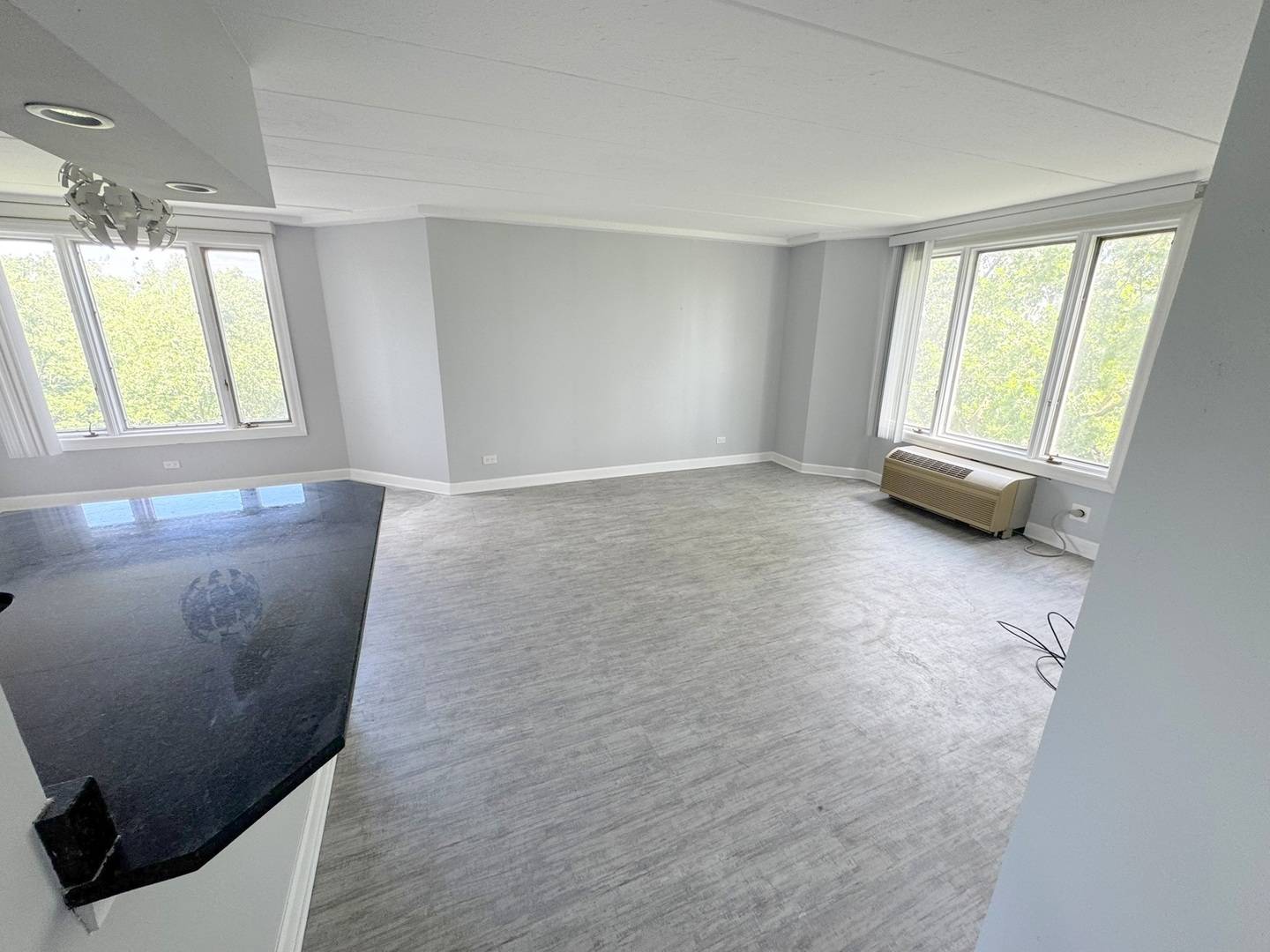 1 Renaissance PL #617, Palatine, IL 60067