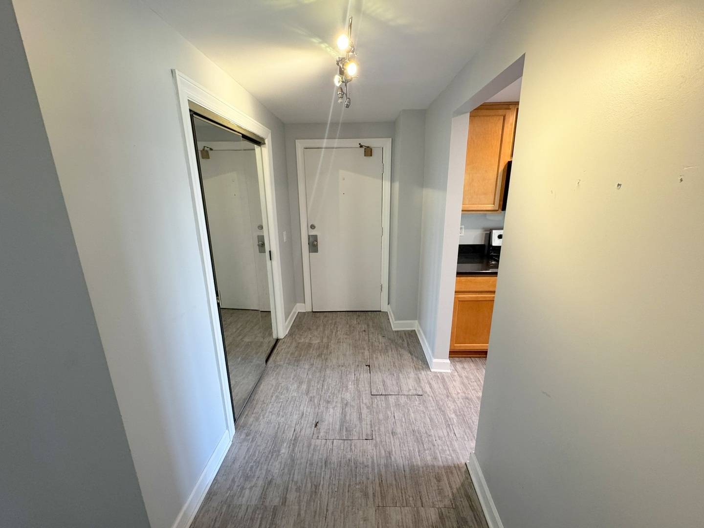 1 Renaissance PL #617, Palatine, IL 60067